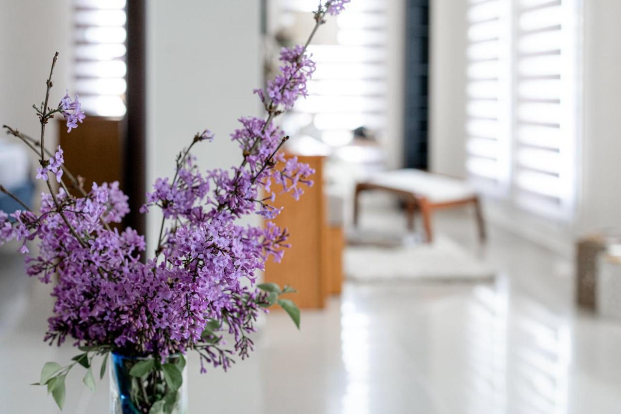 Veria Panorama Luxury Suite With Garden. المظهر الخارجي الصورة